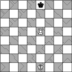 Diagram showing the Black King in check.